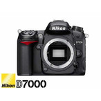 jR fW^჌t Nikon J D7000 {fB D7000-BODY